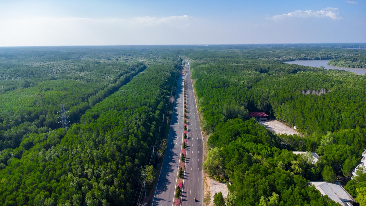 Cải tạo & mở rộng tuyến đường Rừng Sác “bật” giá đất khu vực Cần Giờ