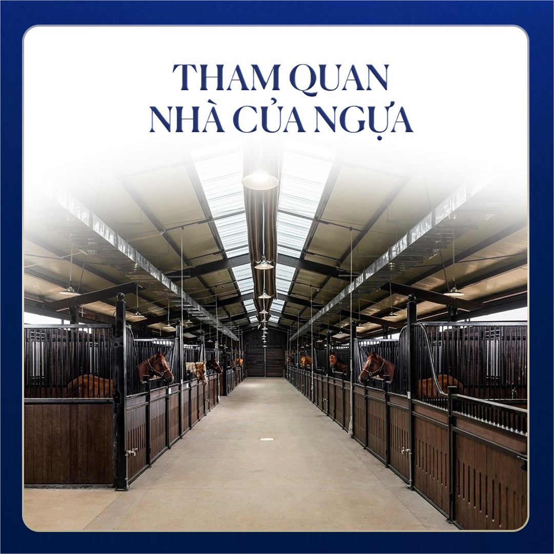 Tham quan nhà của ngựa tại Học viện Cưỡi ngựa Hoàng Gia.