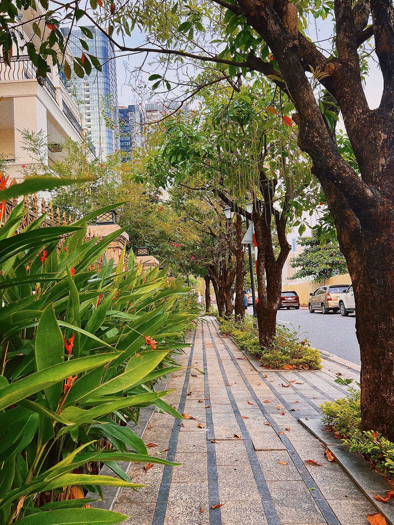 Hình ảnh thự tế khu biệt thự Bason The Victoria Vinhomes Golden River tại phường Bến Nghé, Quận 1. Hình ảnh thự tế khu biệt thự Bason The Victoria Vinhomes Golden River tại phường Bến Nghé, Quận 1.