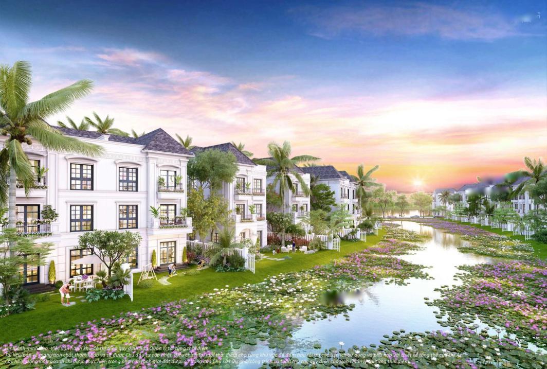 Biệt thự song lập